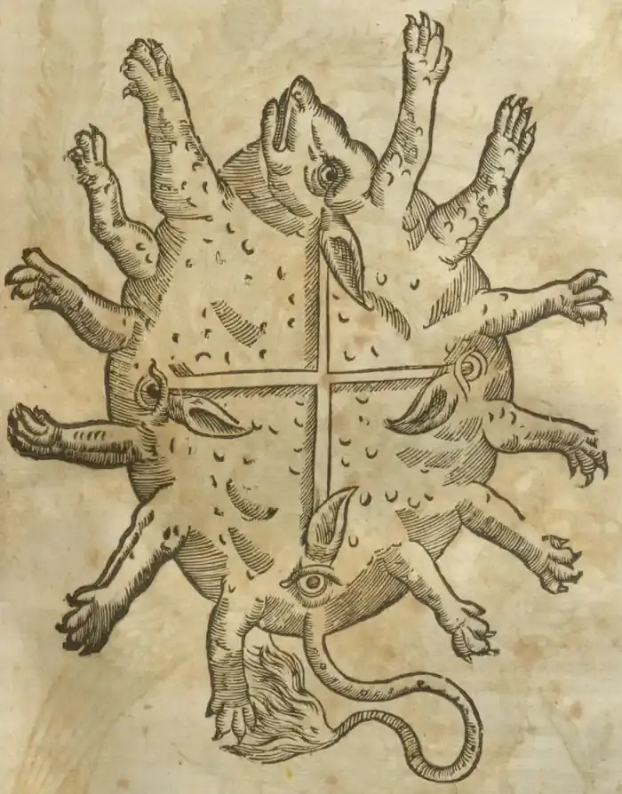 Illustration from page 323