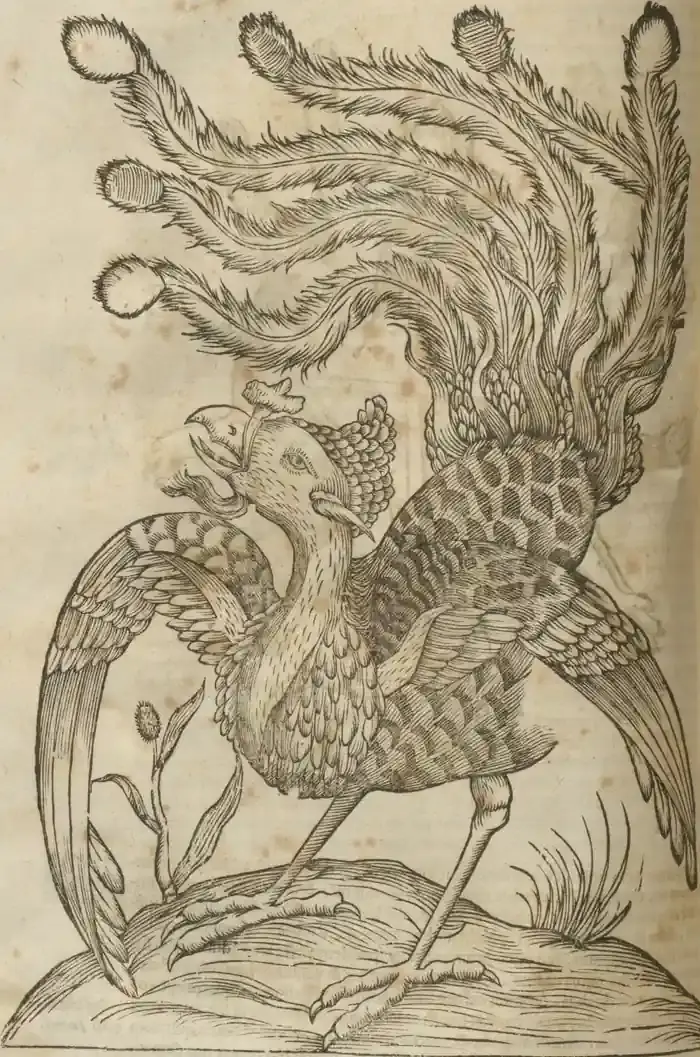 Illustration from page 324