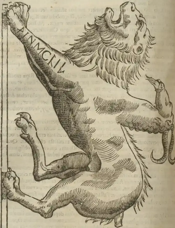 Illustration from page 336