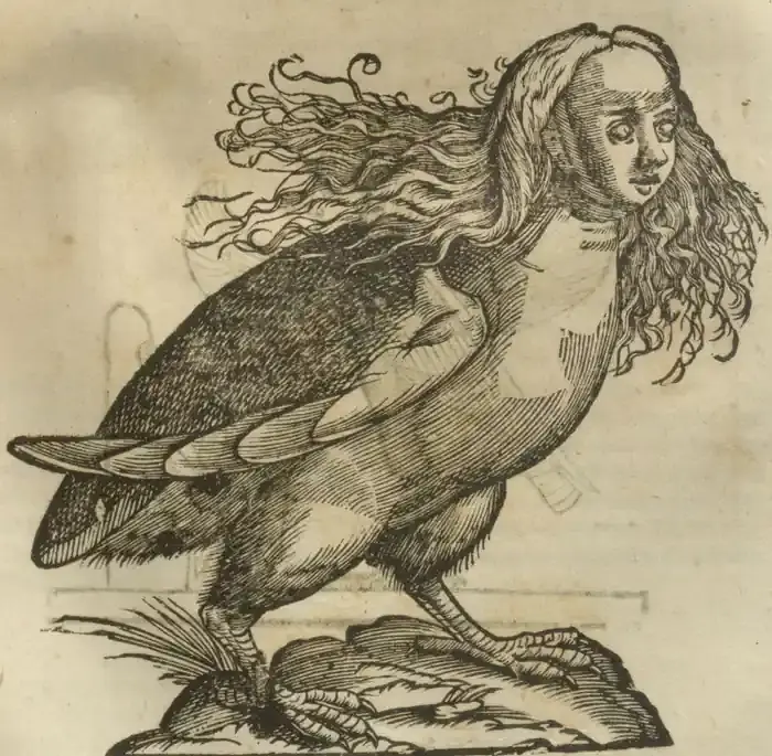 Illustration from page 337