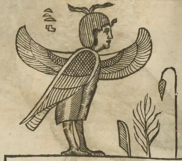 Illustration from page 338