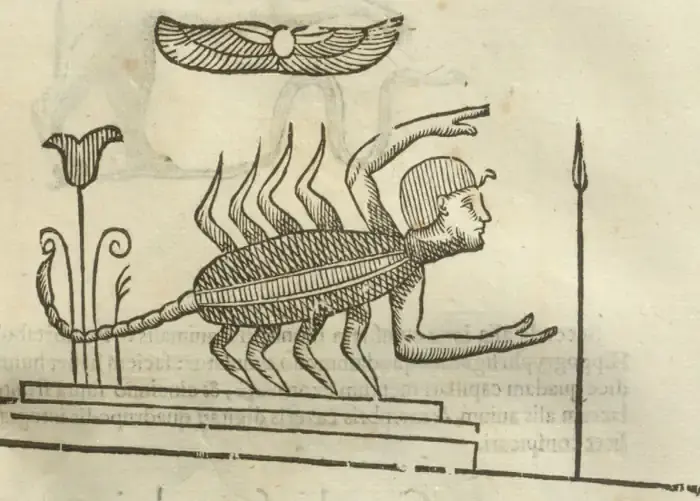 Illustration from page 341