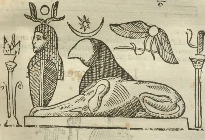 Illustration from page 343