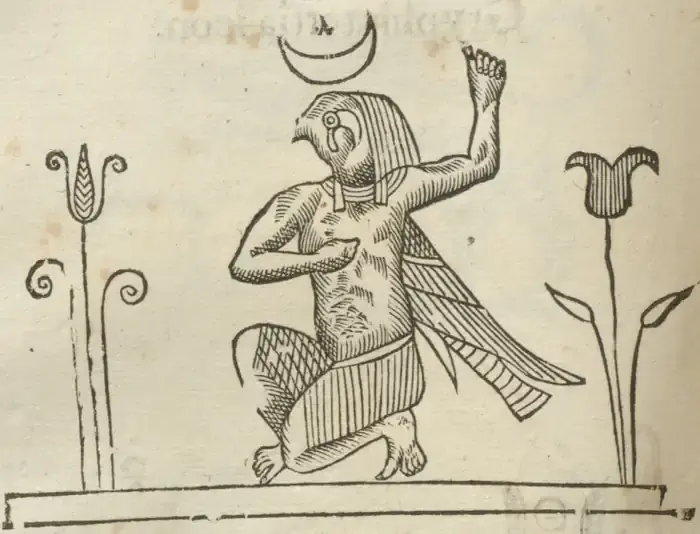 Illustration from page 344