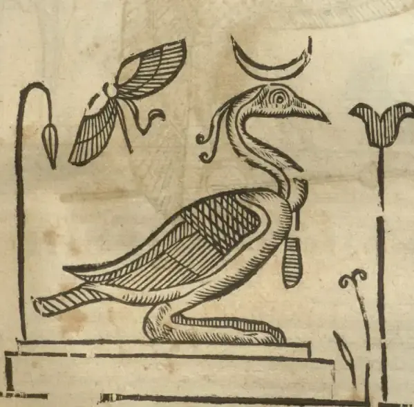 Illustration from page 345