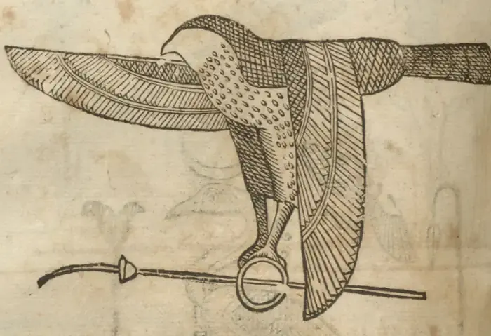 Illustration from page 346