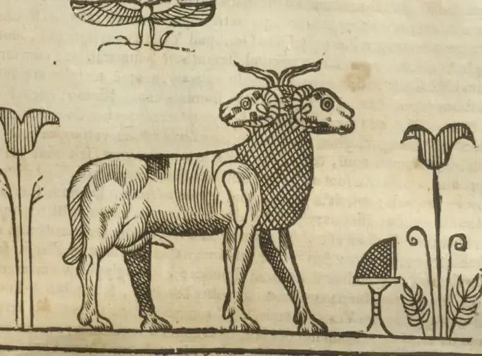 Illustration from page 347