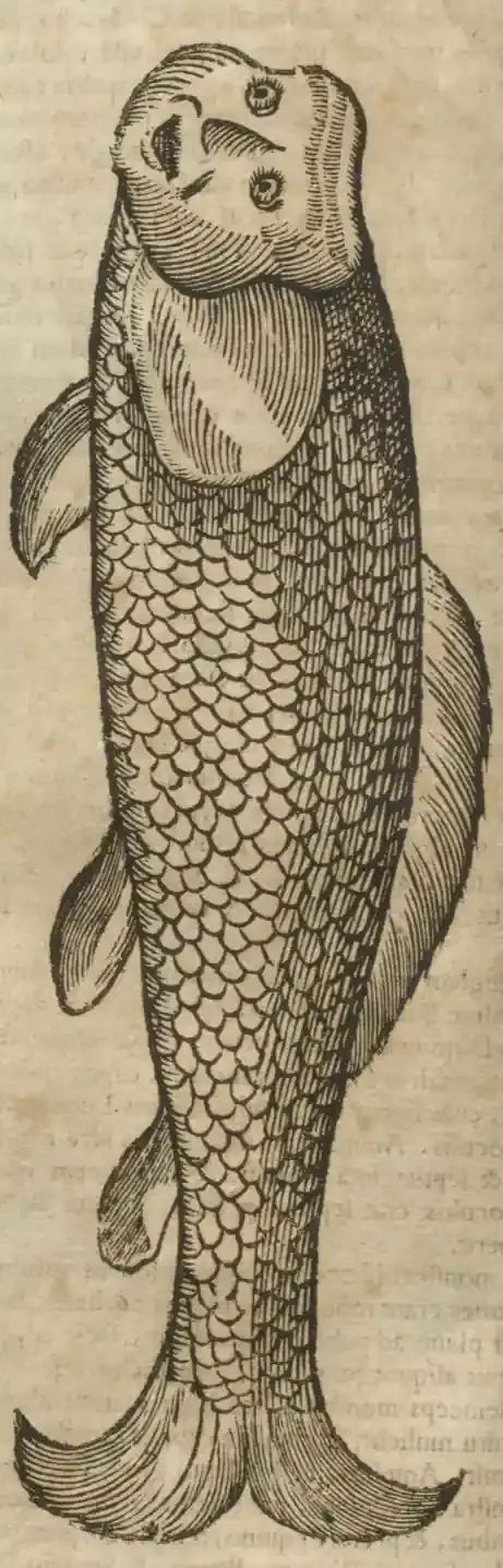 Illustration from page 352