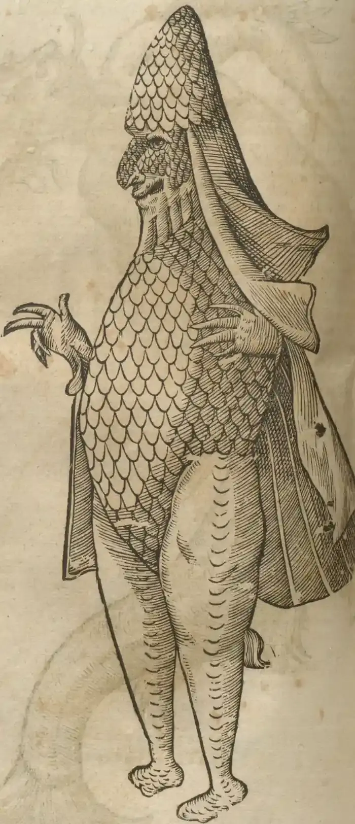 Illustration from page 358