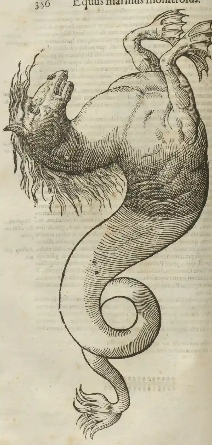 Illustration from page 356