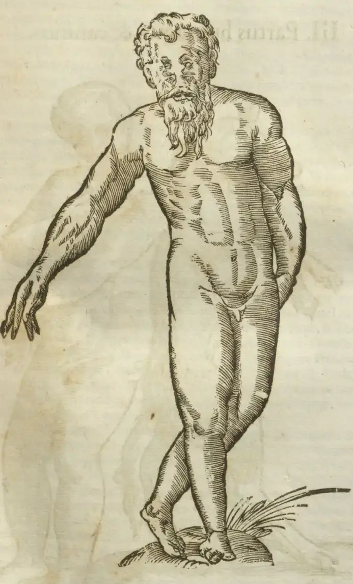 Illustration from page 365