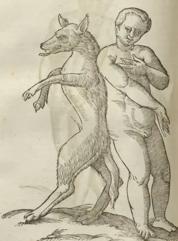 Illustration from page 366