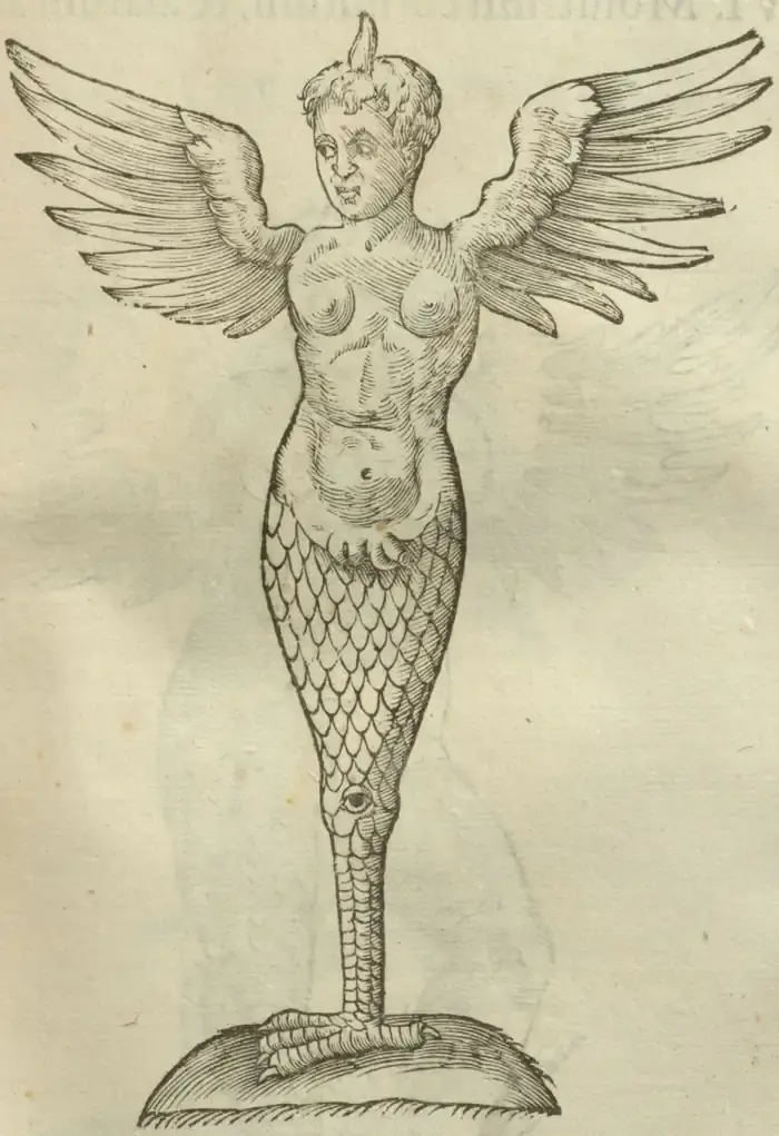 Illustration from page 369