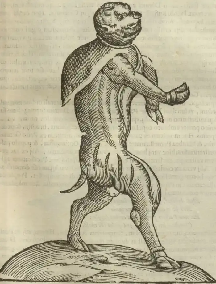 Illustration from page 371