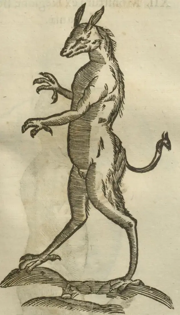 Illustration from page 377