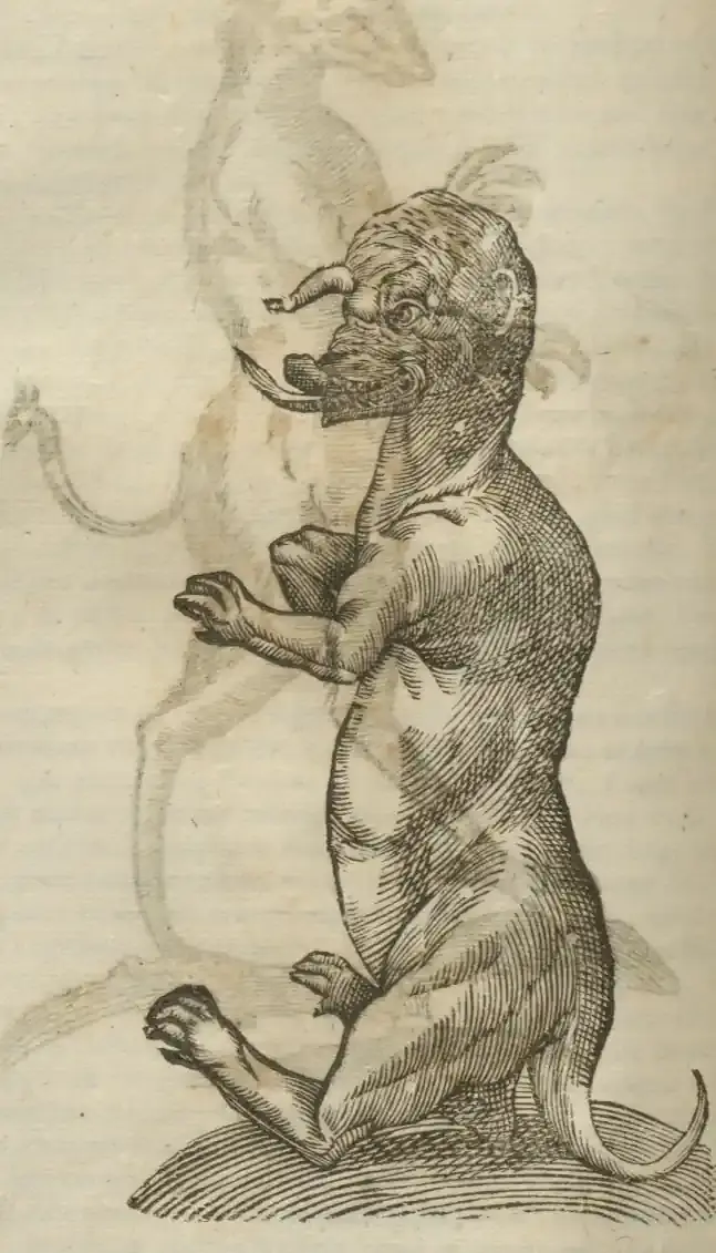 Illustration from page 378