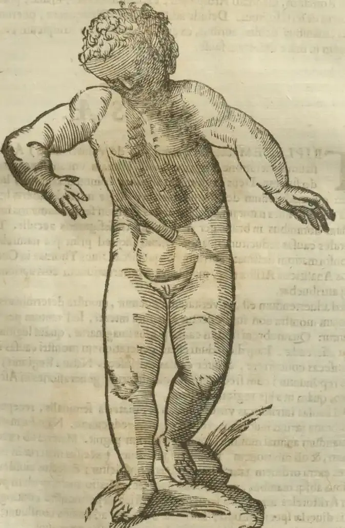 Illustration from page 379