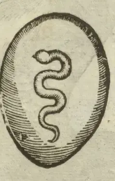 Illustration from page 387