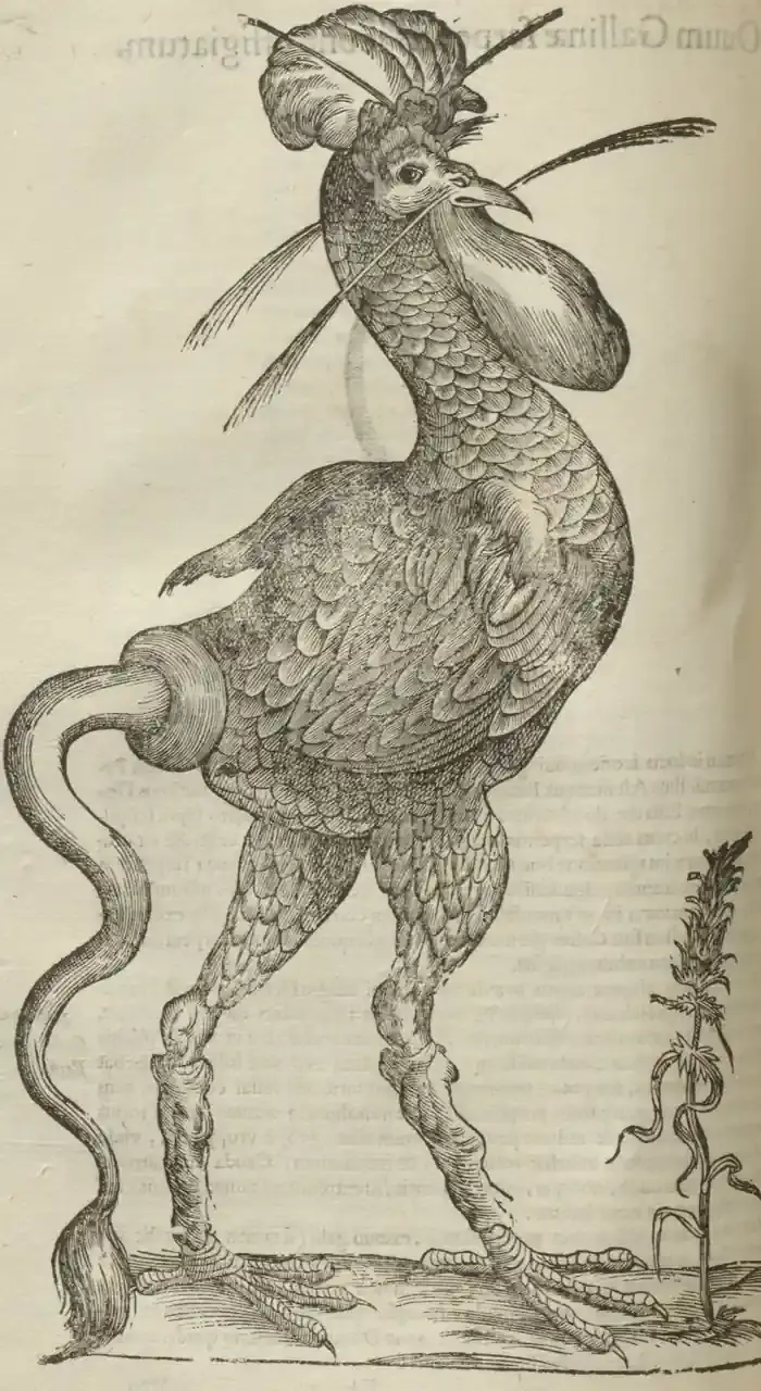 Illustration from page 388