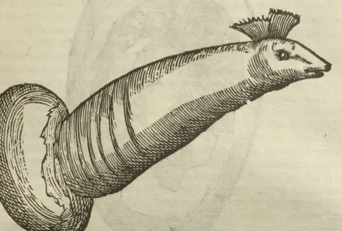 Illustration from page 389