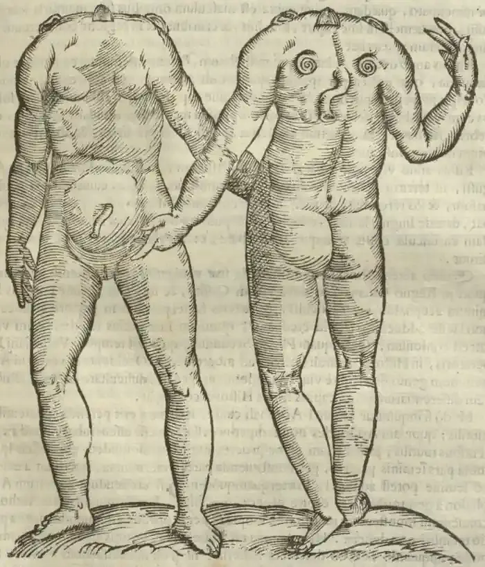 Illustration from page 401