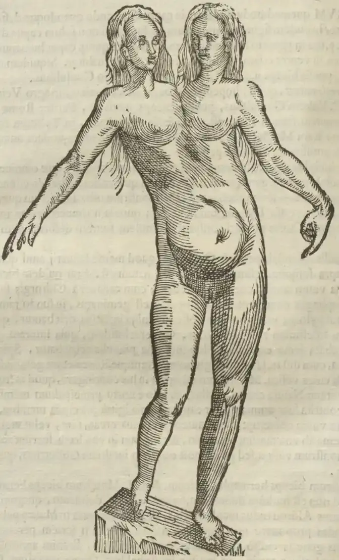 Illustration from page 404