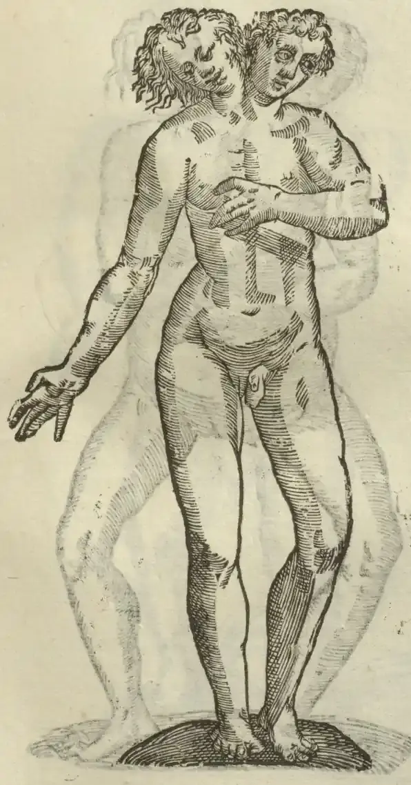 Illustration from page 405