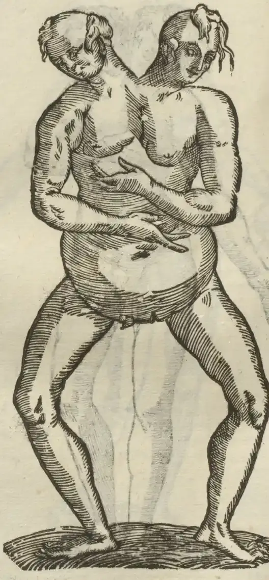 Illustration from page 406