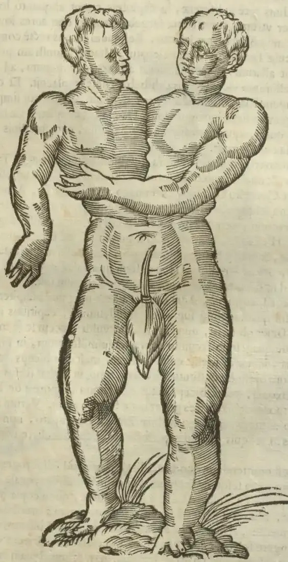 Illustration from page 407