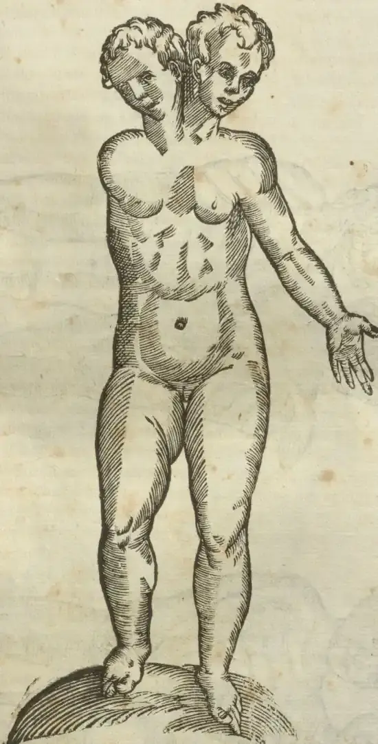 Illustration from page 411