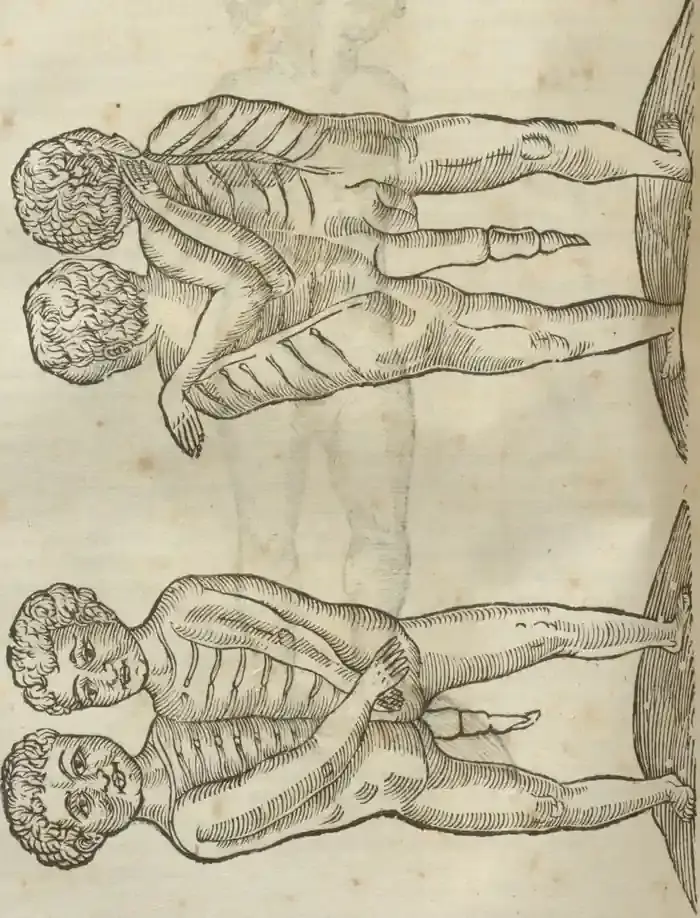 Illustration from page 412