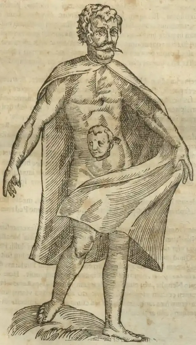 Illustration from page 413