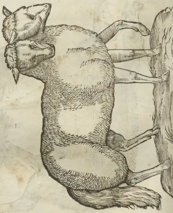 Illustration from page 418