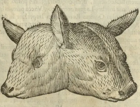 Illustration from page 423