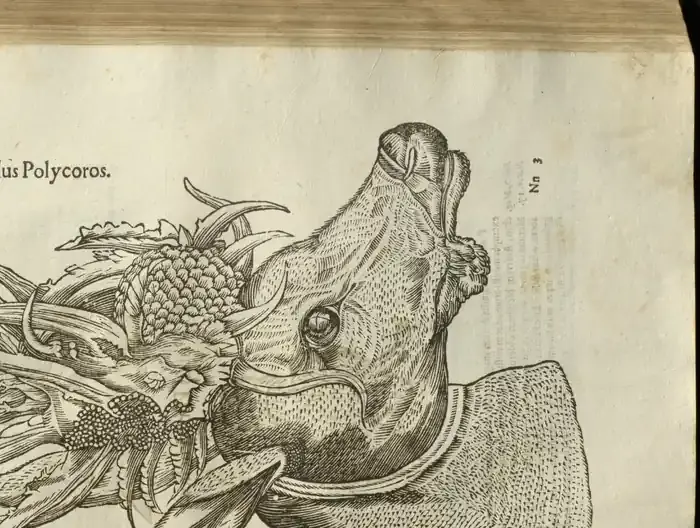 Illustration from page 425