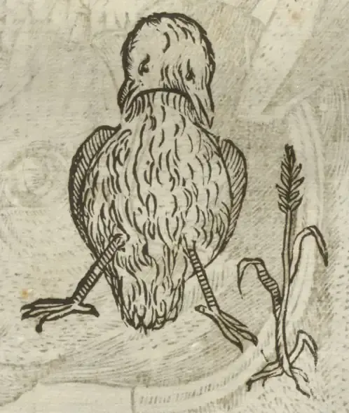 Illustration from page 426