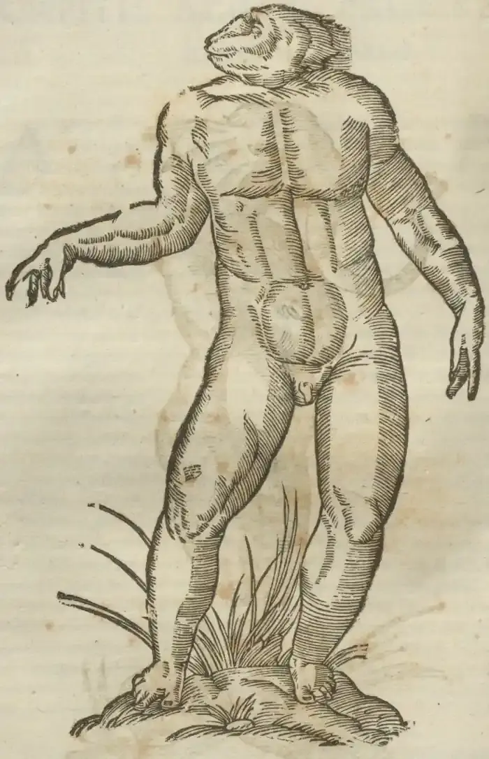 Illustration from page 432