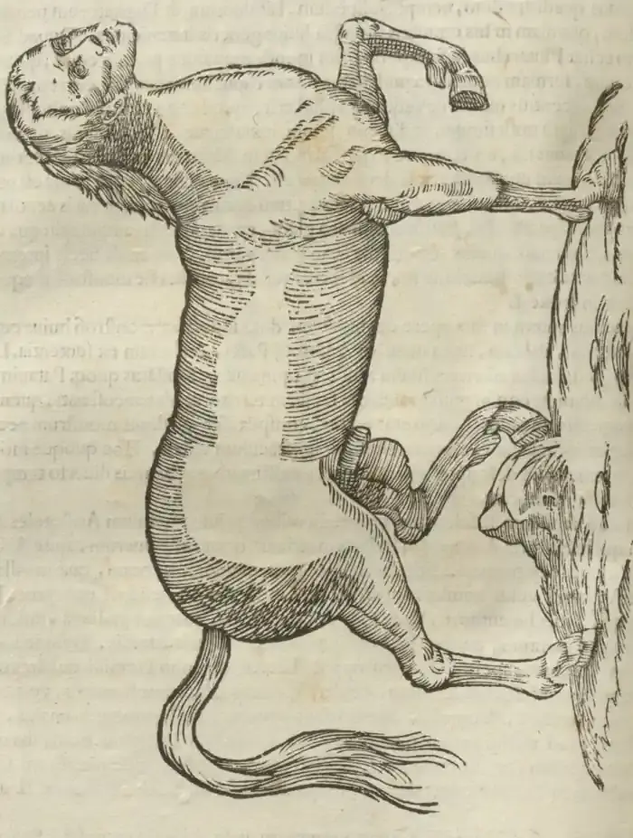 Illustration from page 434