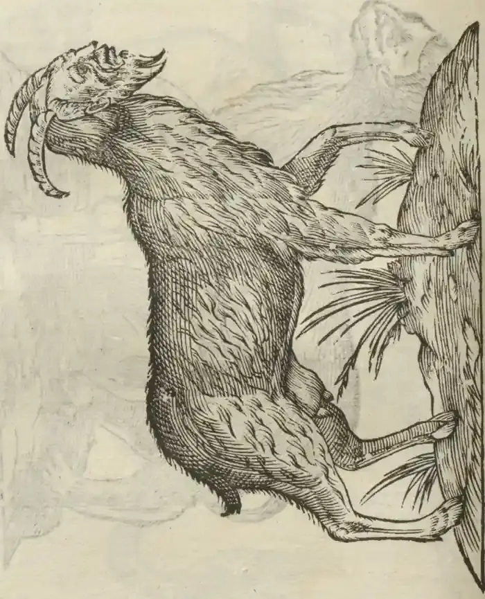 Illustration from page 436