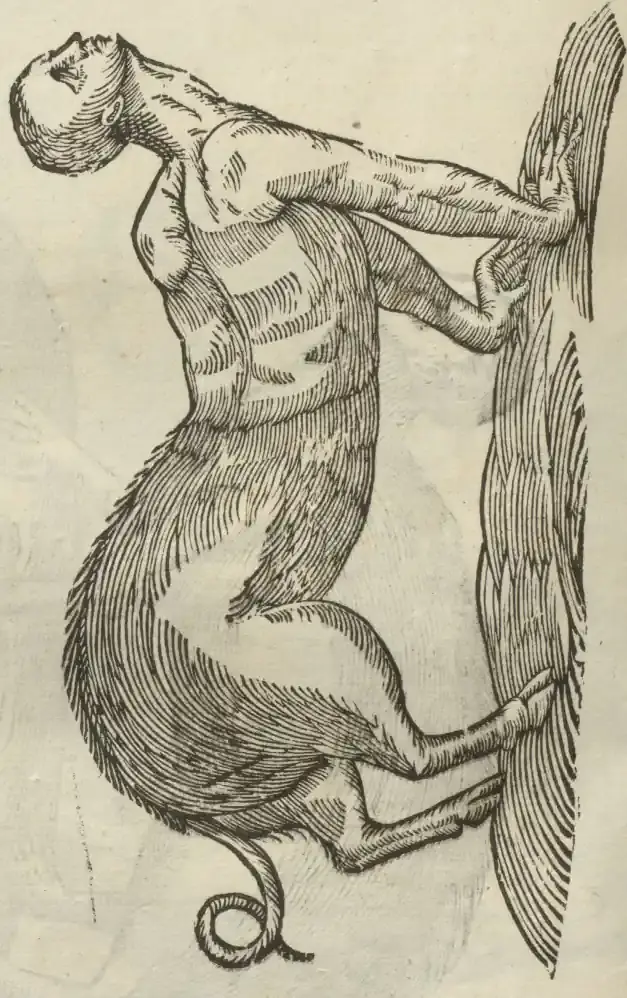 Illustration from page 440