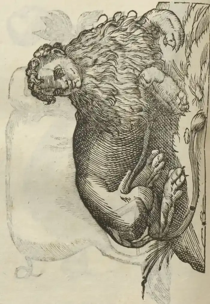 Illustration from page 442