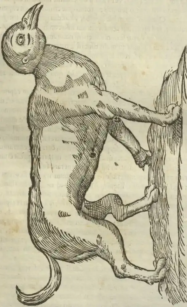 Illustration from page 443