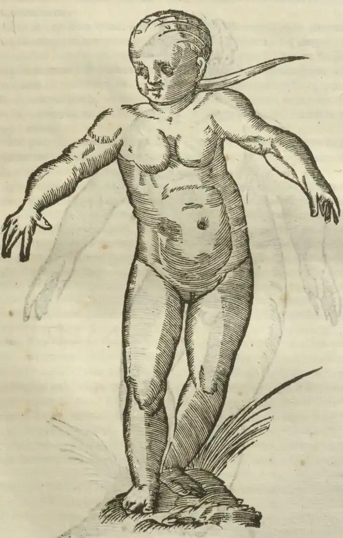 Illustration from page 447