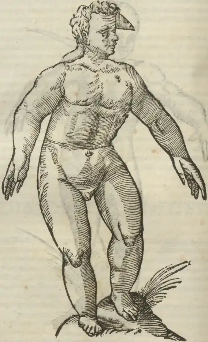 Illustration from page 448