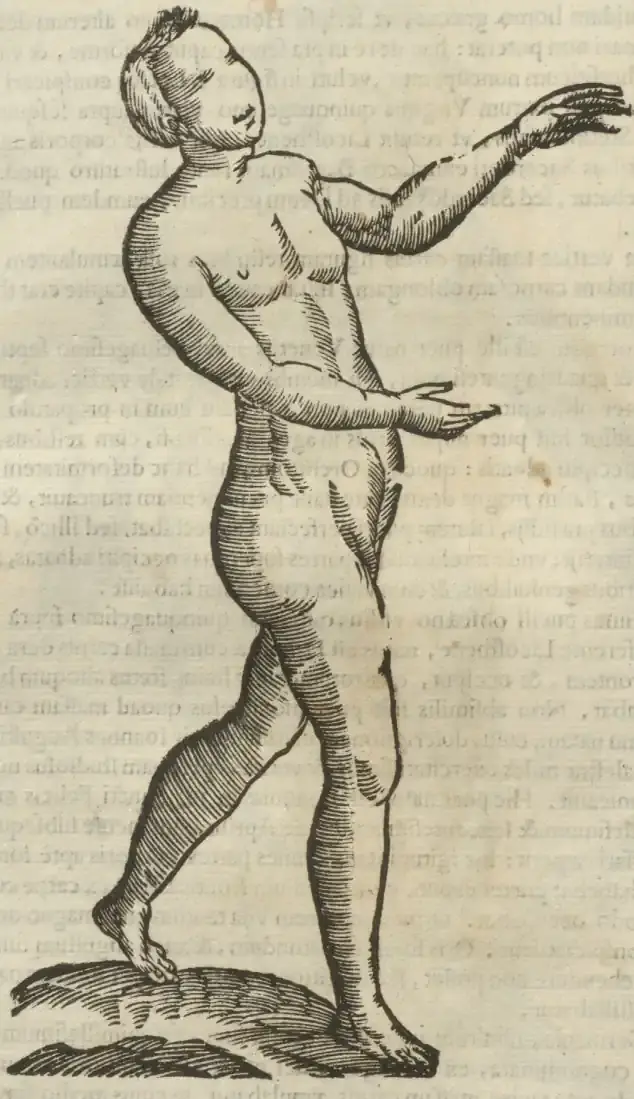 Illustration from page 450