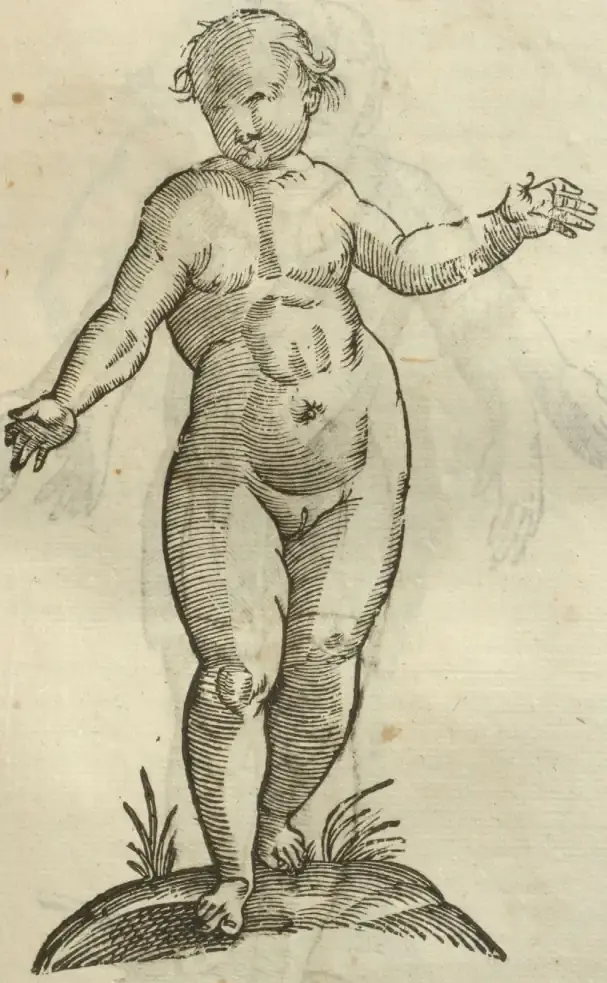 Illustration from page 451