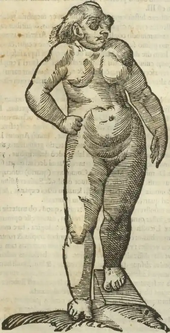 Illustration from page 453