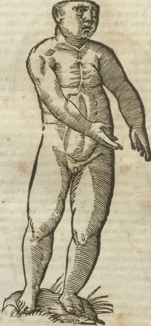 Illustration from page 462