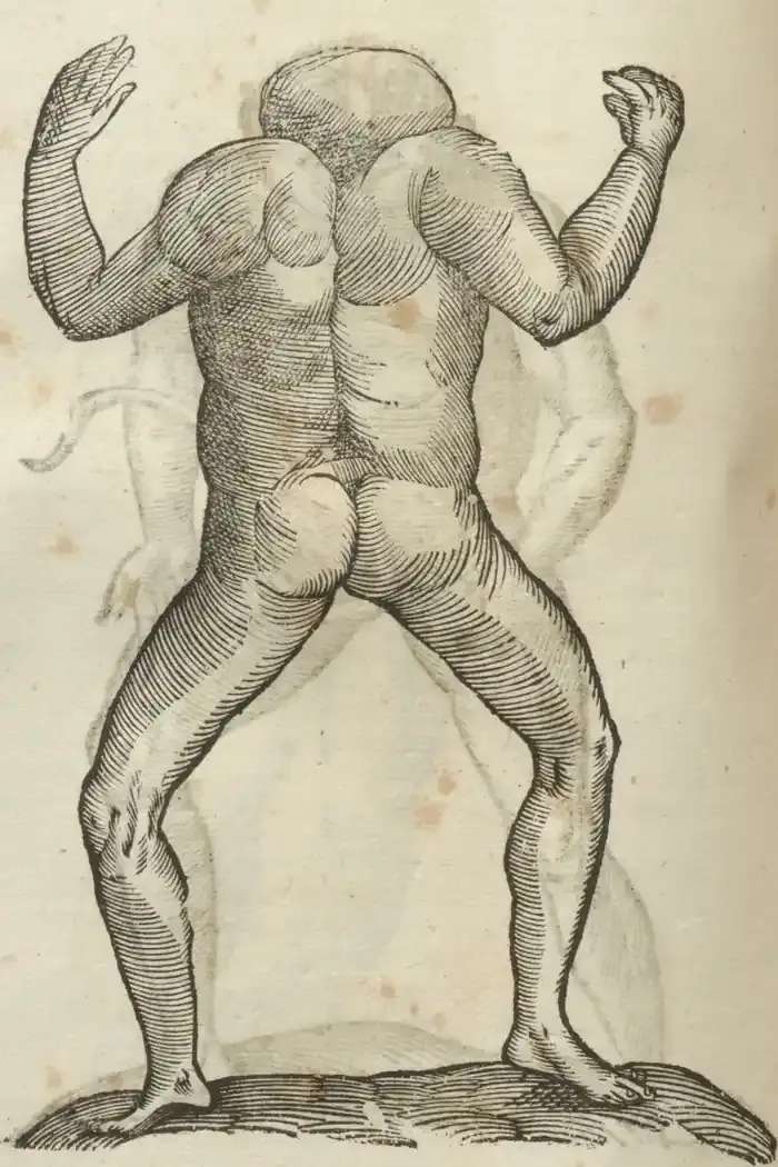 Illustration from page 464