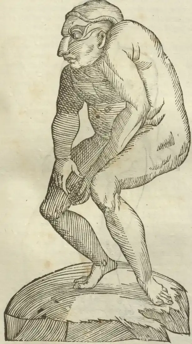 Illustration from page 465